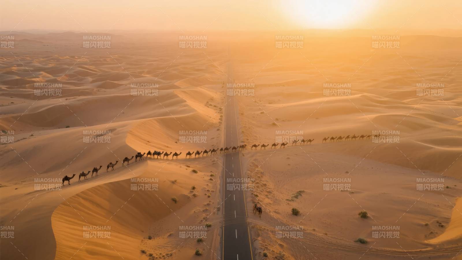 沙漠驼队日落行图片