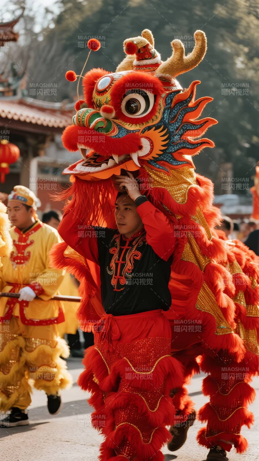 舞狮迎春庆佳节图片