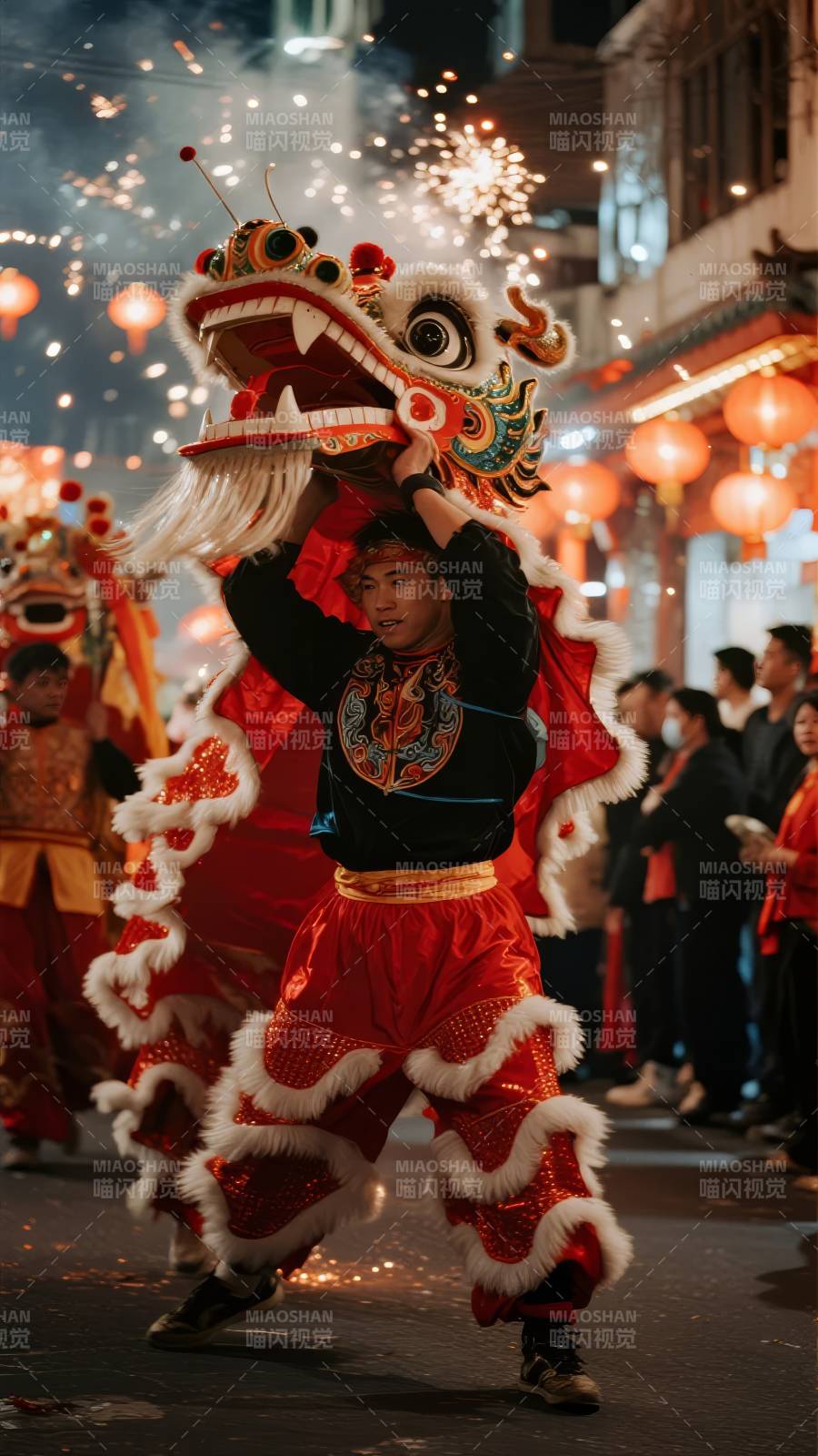 舞狮迎春夜图片