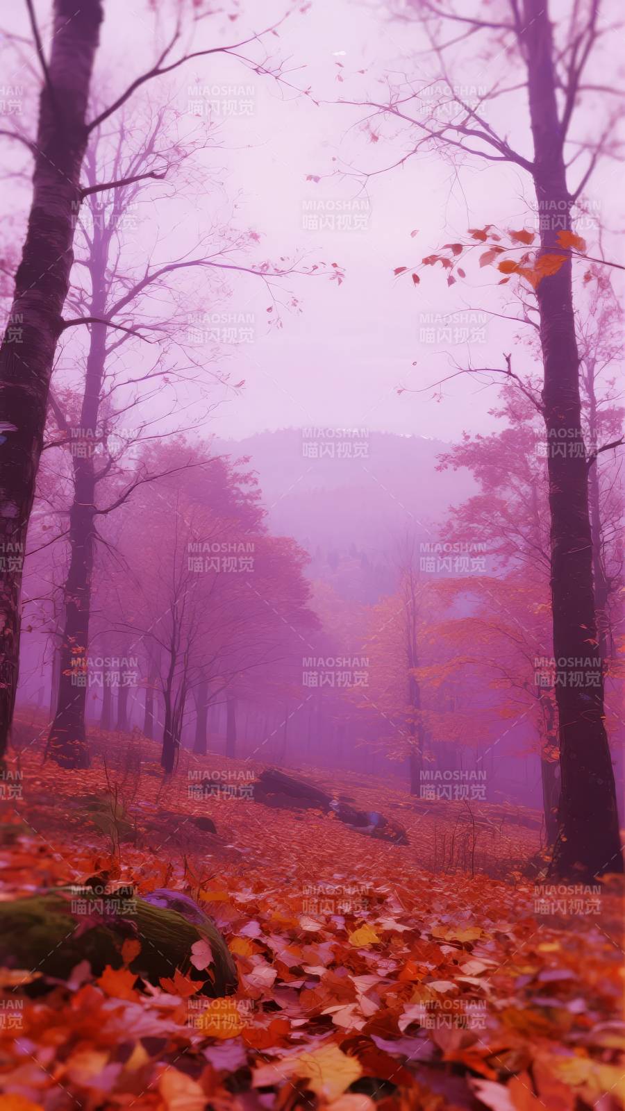 紫雾秋林图片