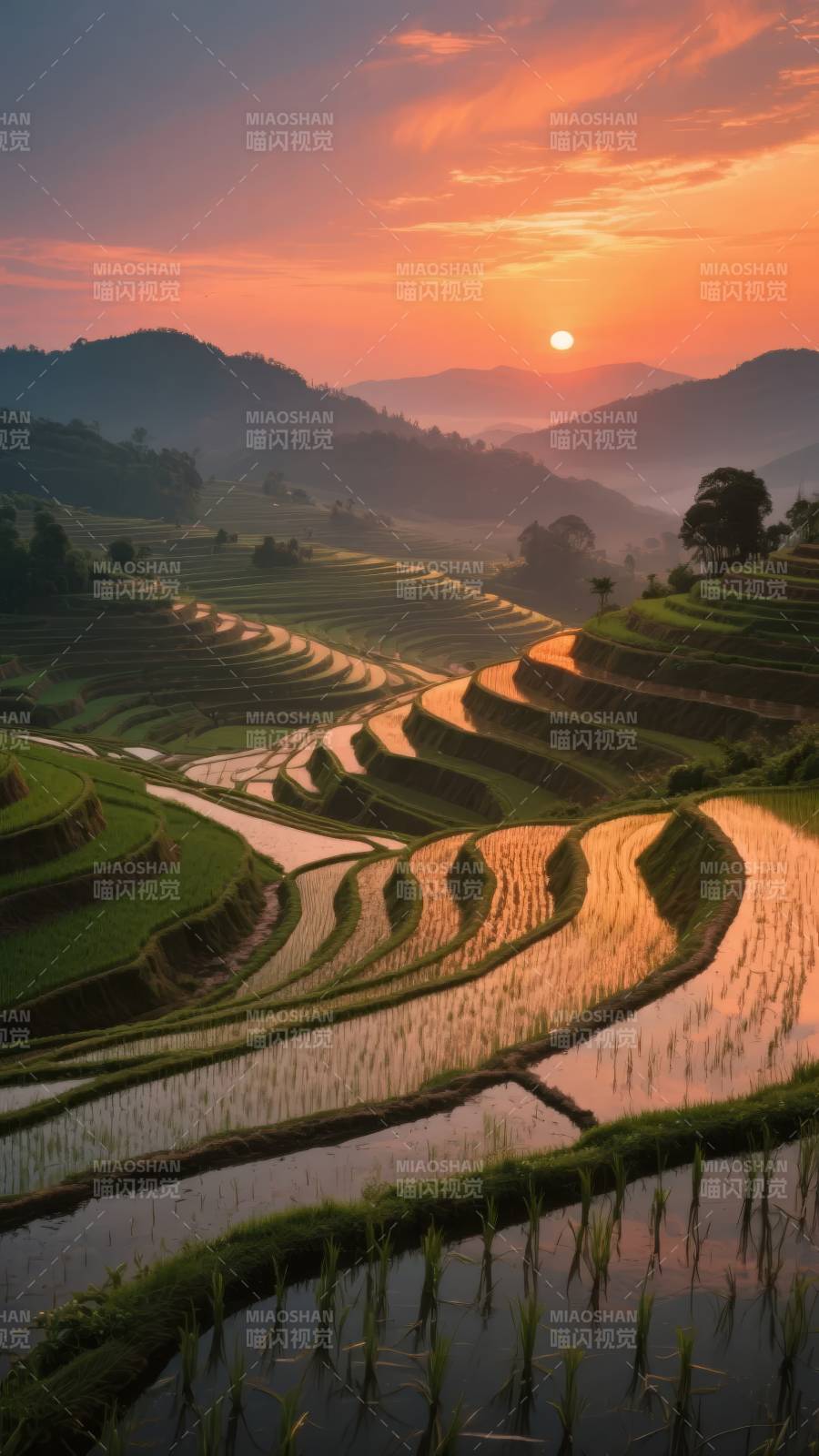 梯田日落图片