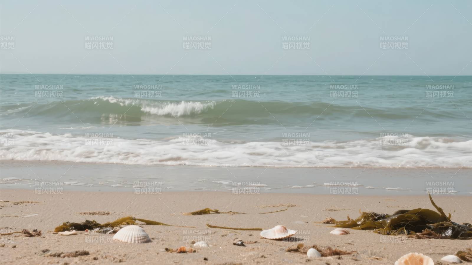 海滩贝壳与海浪图片