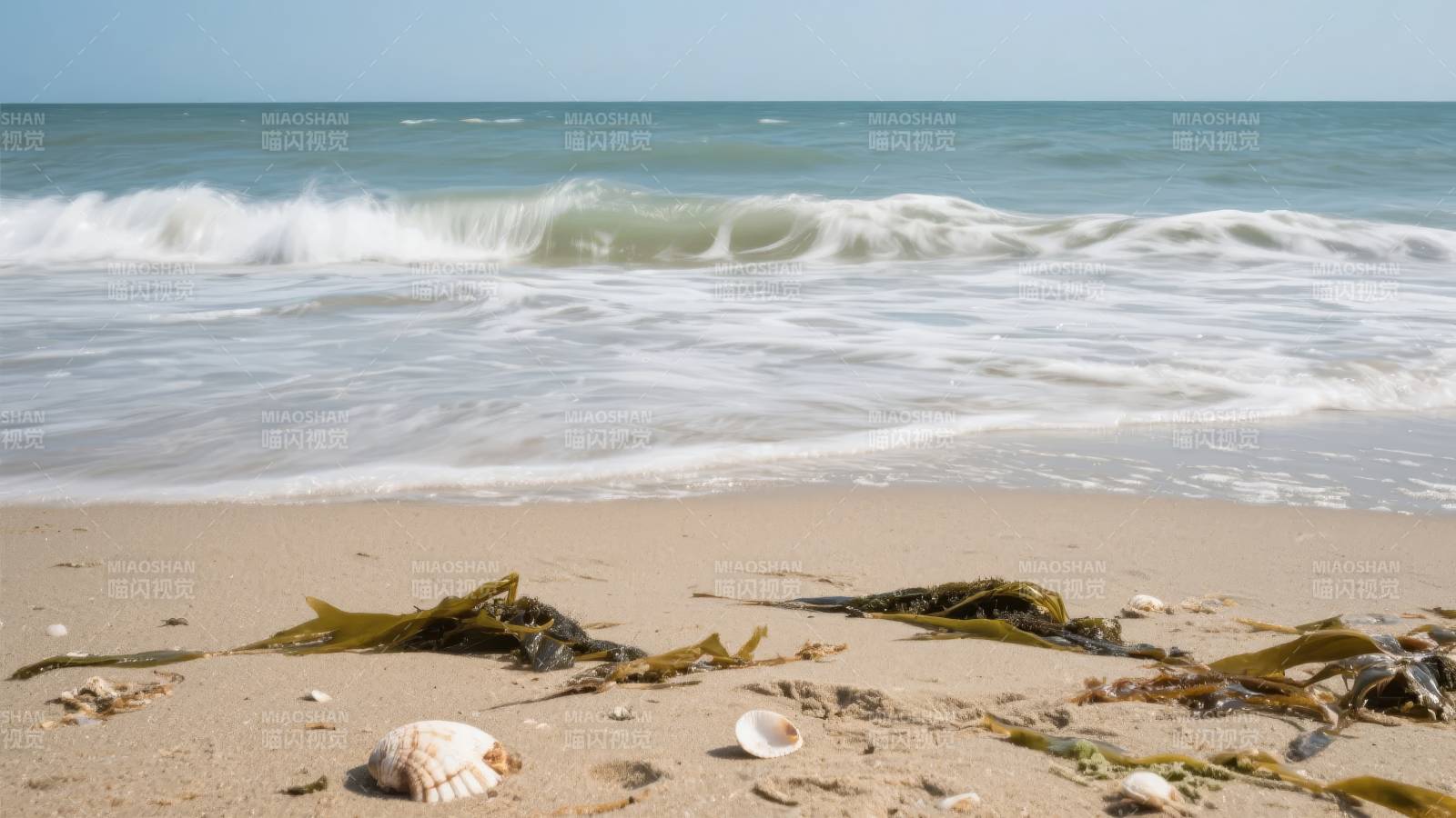 海滩浪花与贝壳图片