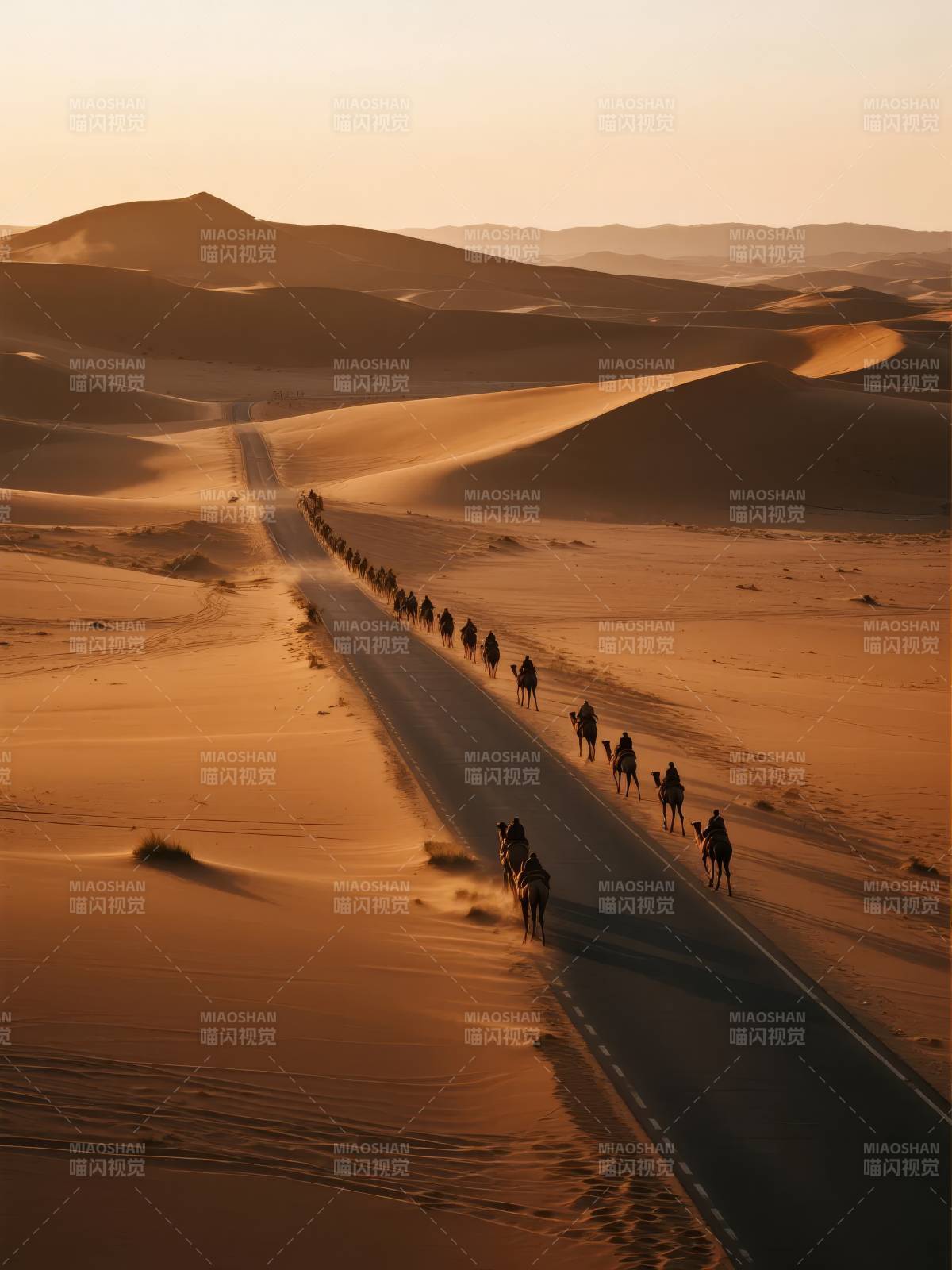 沙漠驼队行迹图片