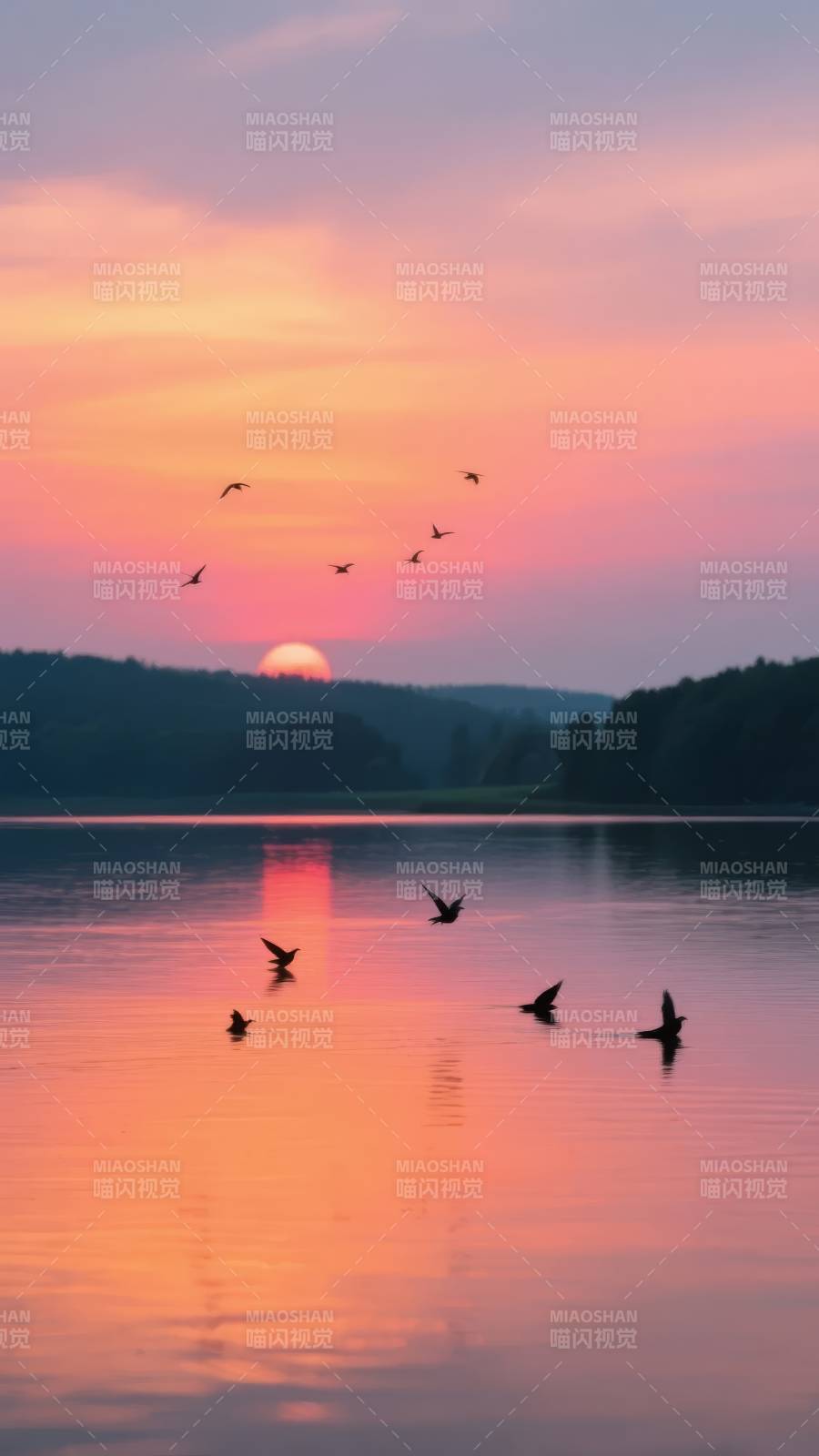 湖畔日落飞鸟图片