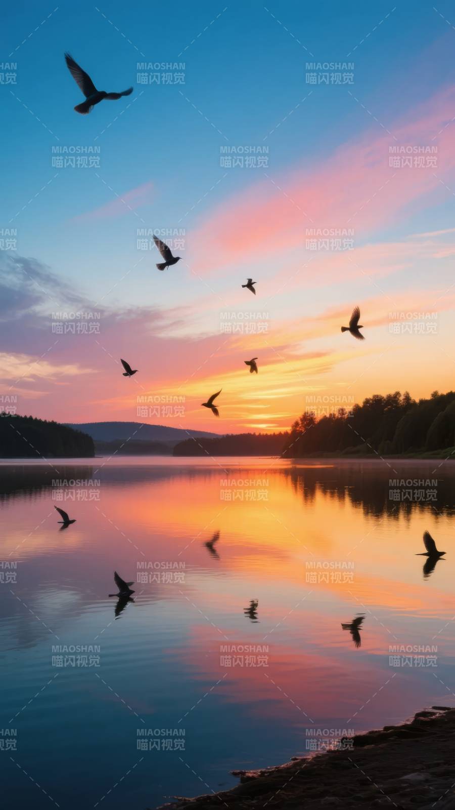 湖畔日落飞鸟图片