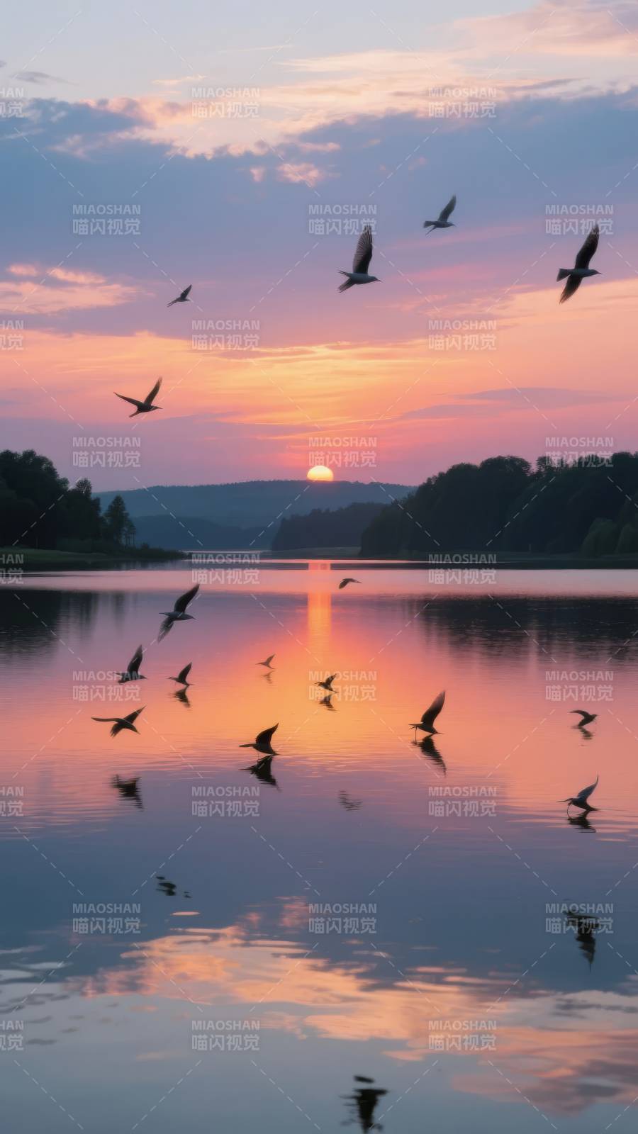 湖畔日落飞鸟图片