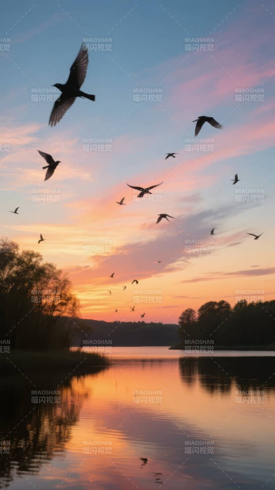 湖畔暮色飞鸟图片