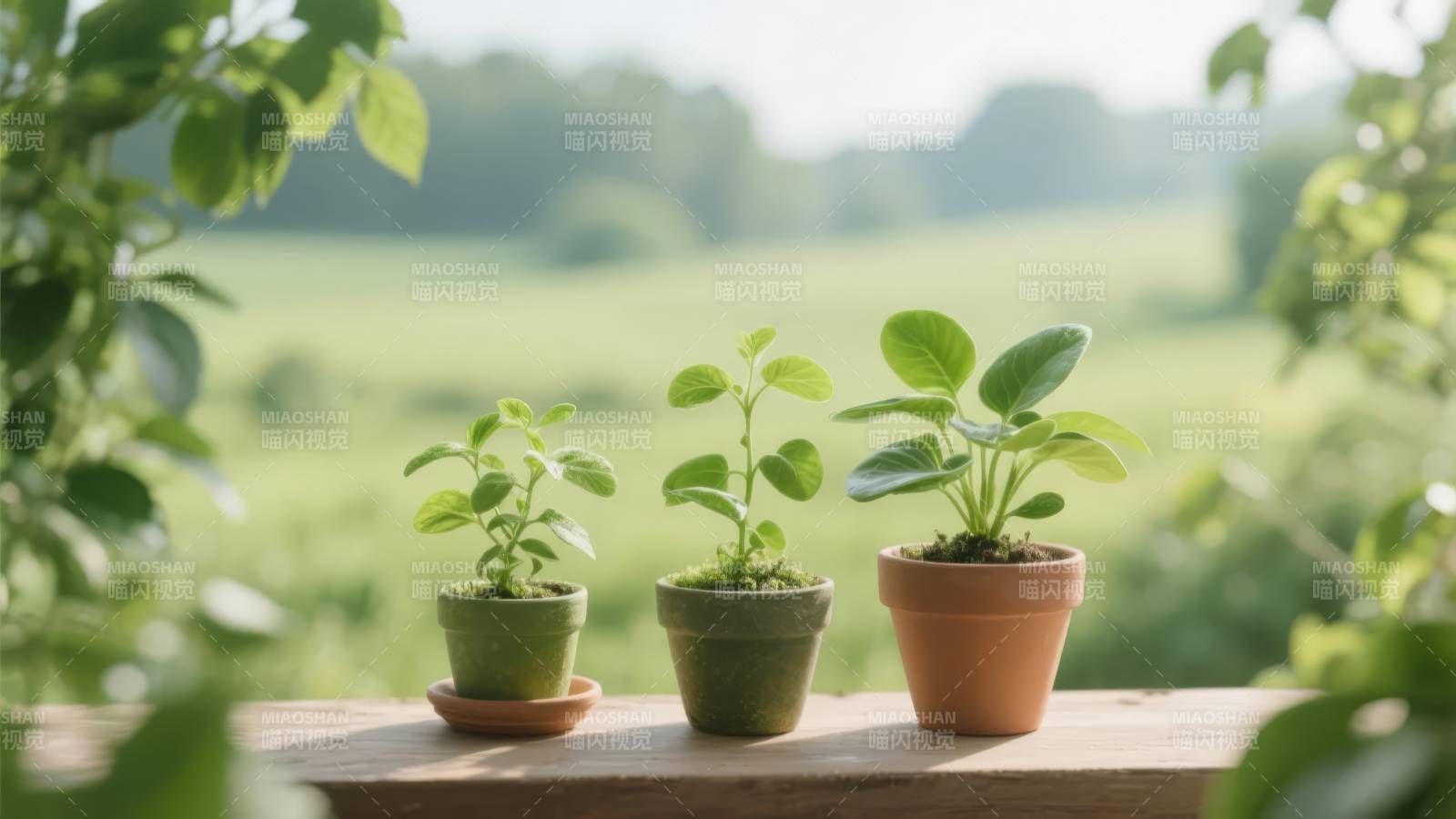 窗台绿植生机盎然图片