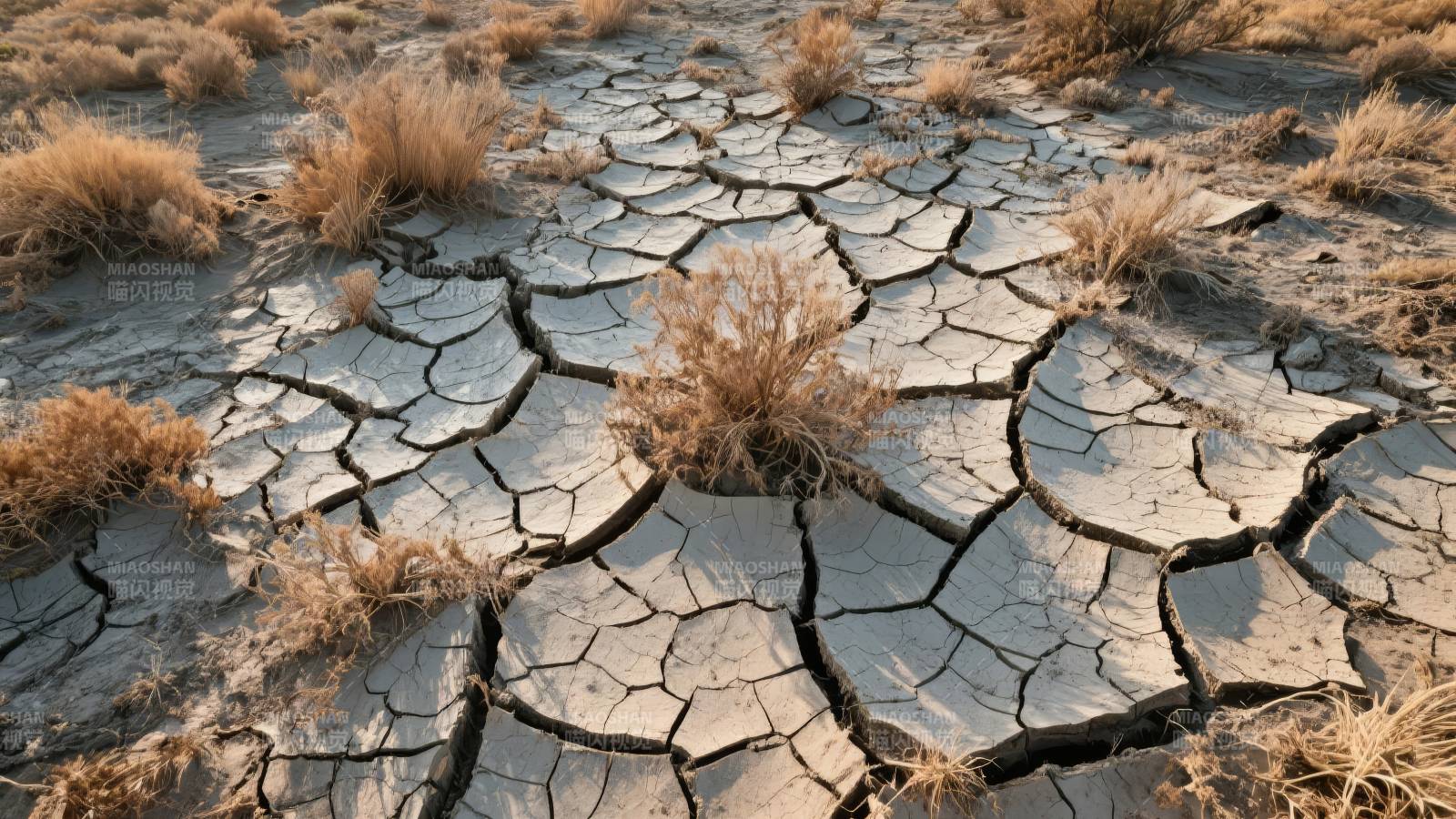 干裂的土地图片