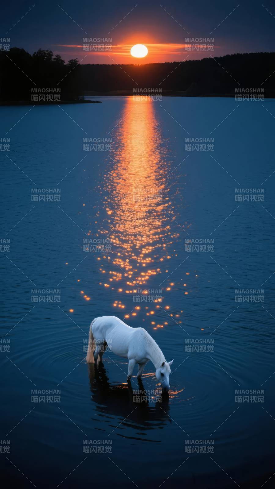 湖畔夕阳白马饮图片