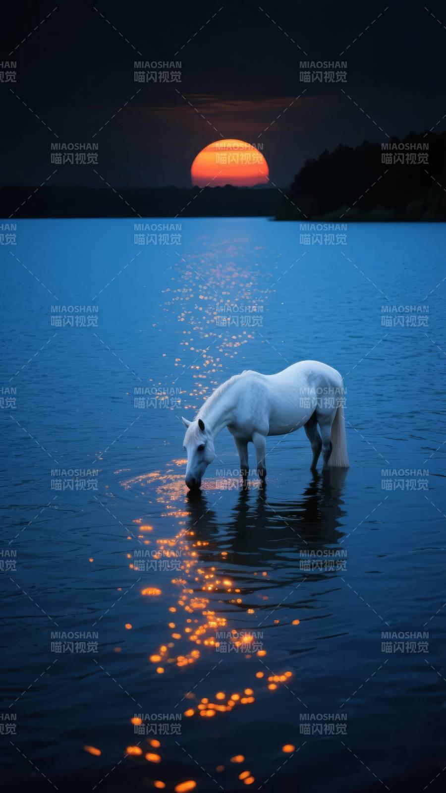 月下白驹饮湖光图片