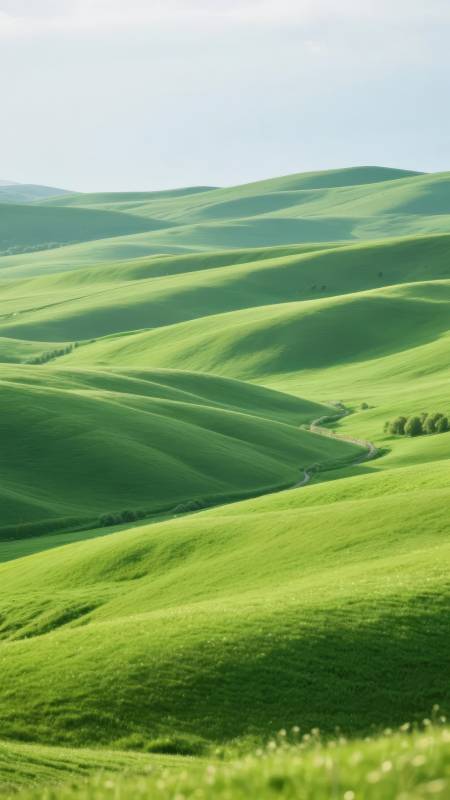 绿野连绵图片