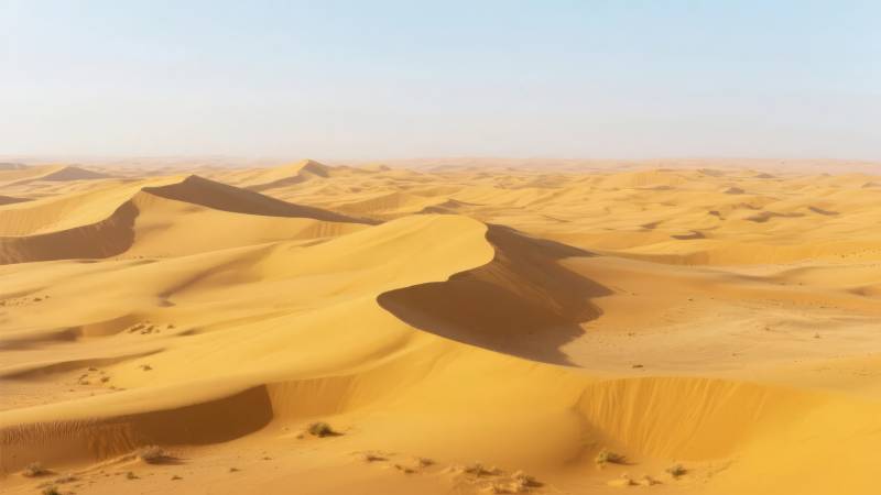 金色沙海无垠图片