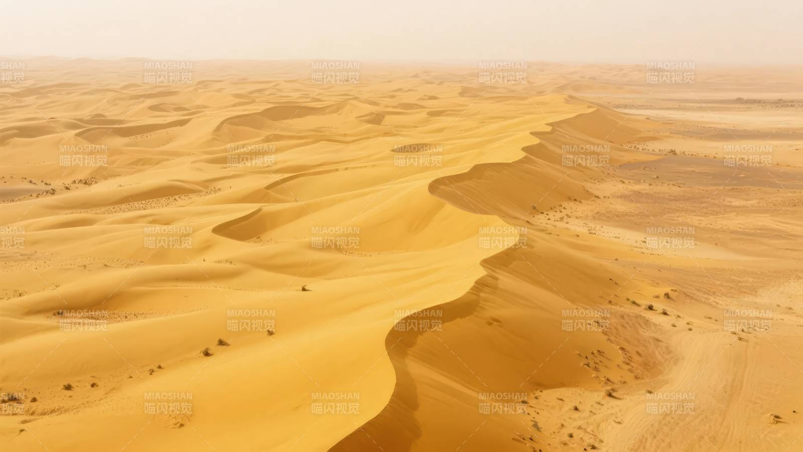 金色沙海无垠图片