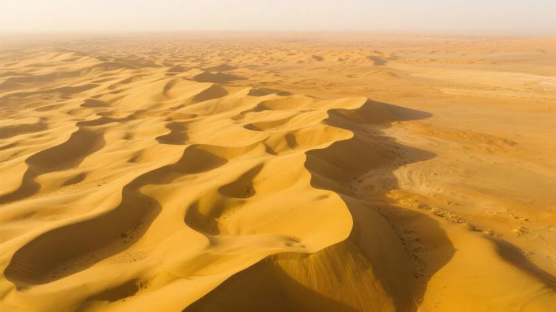 金色沙海波澜壮阔图片