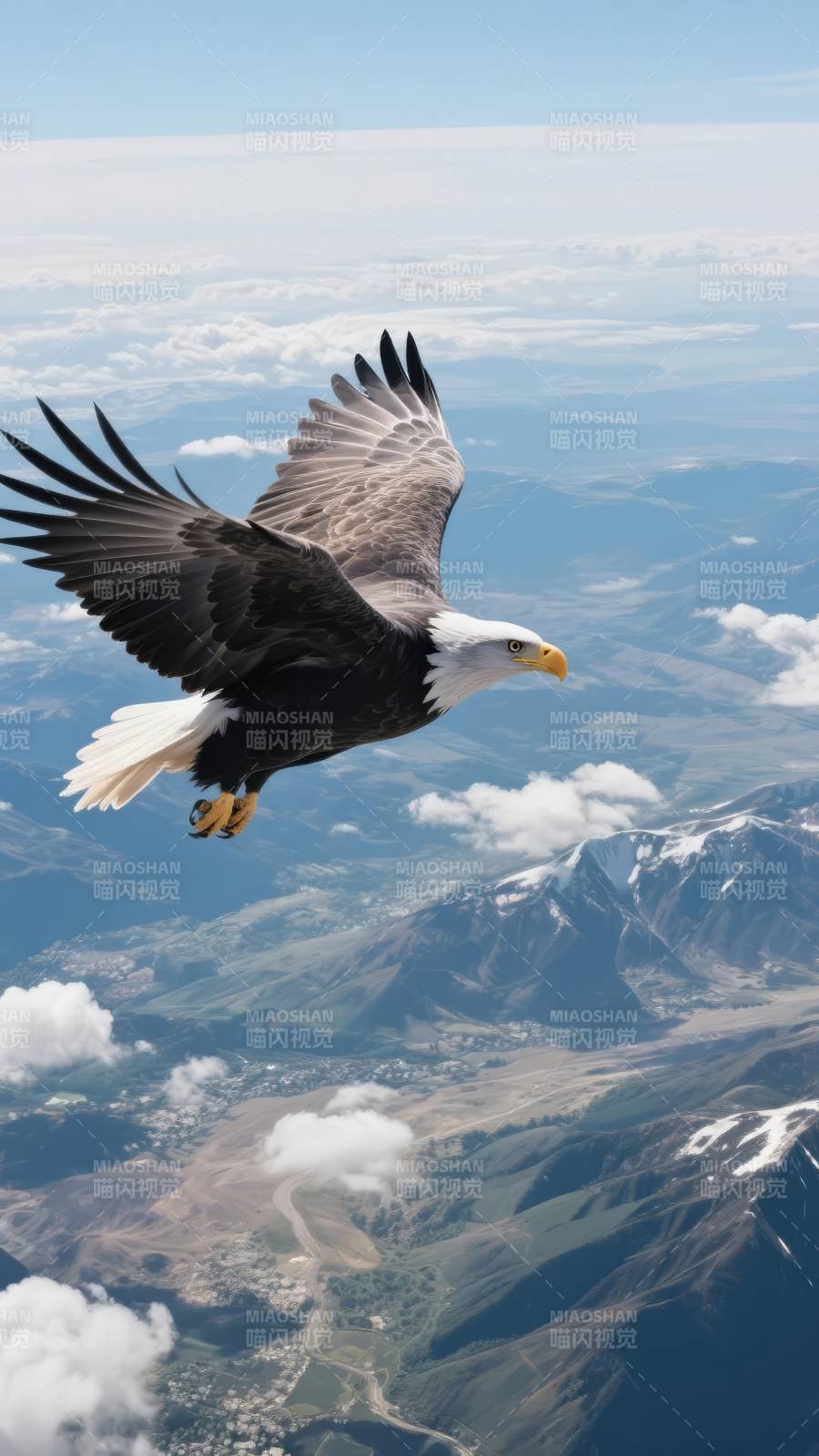 雄鹰翱翔山巅图片