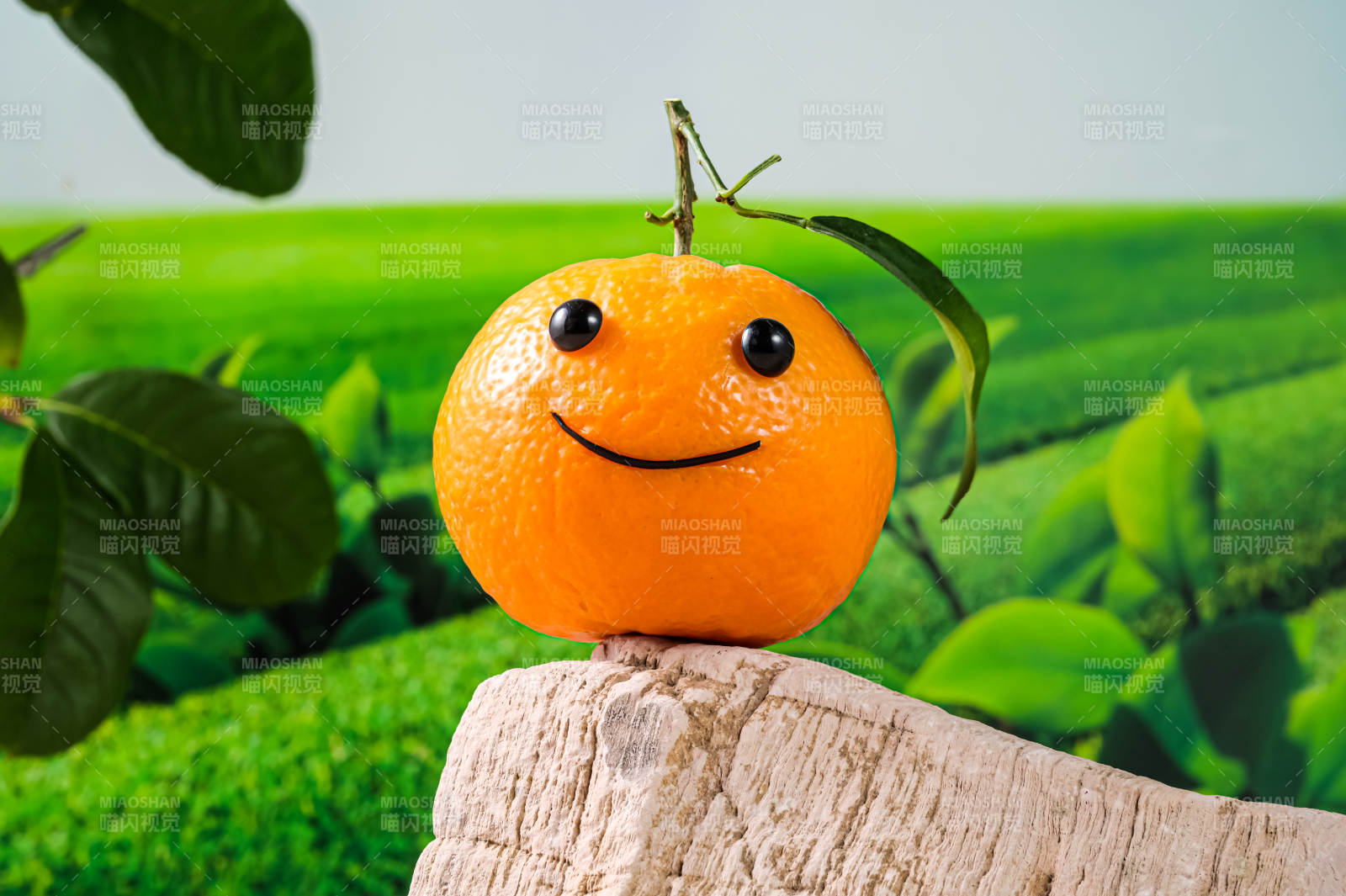 带笑脸表情的沃柑特写图片