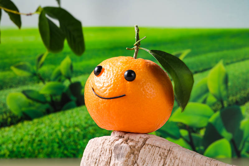 带笑脸表情的沃柑特写图片