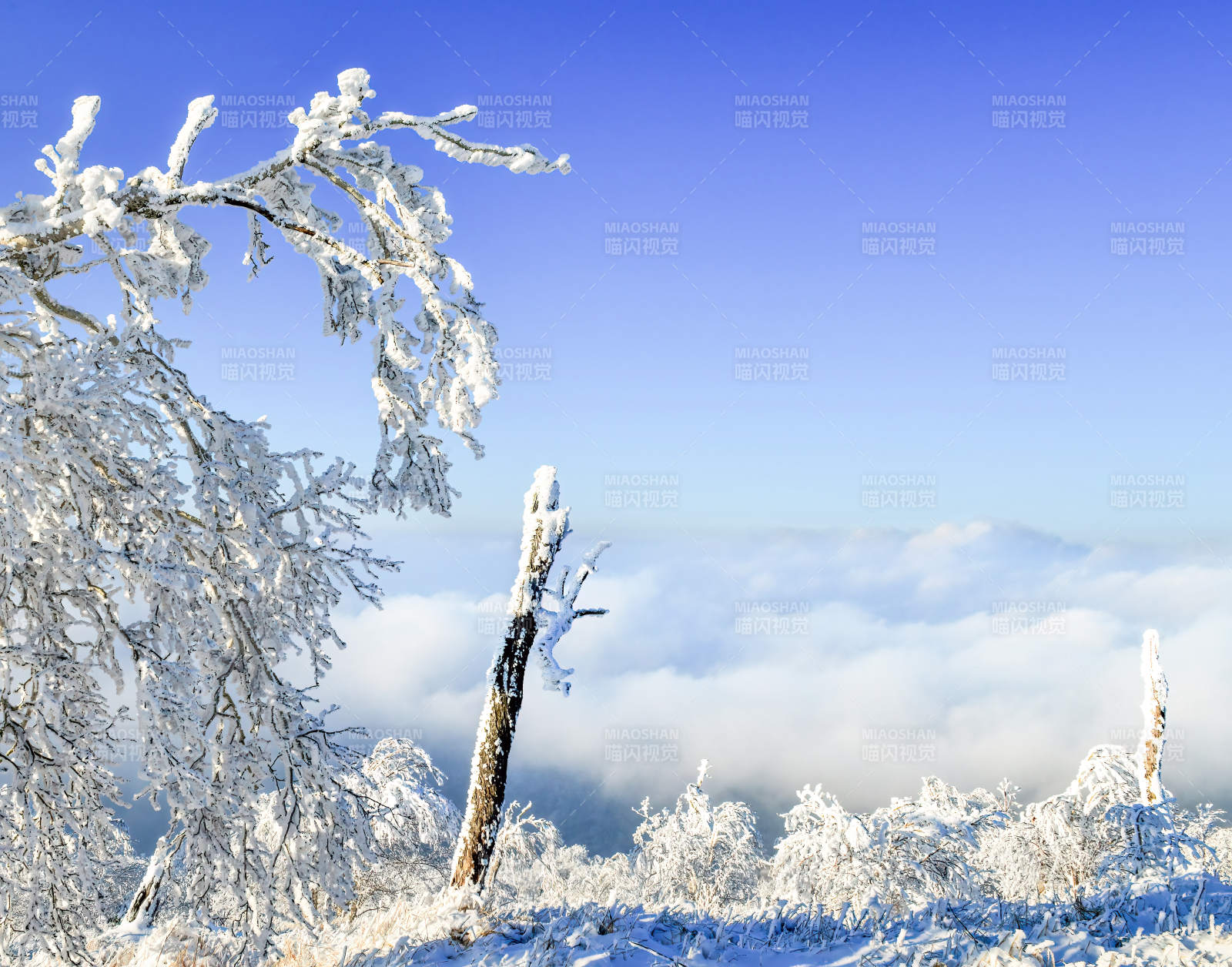 龙江第一峰图片