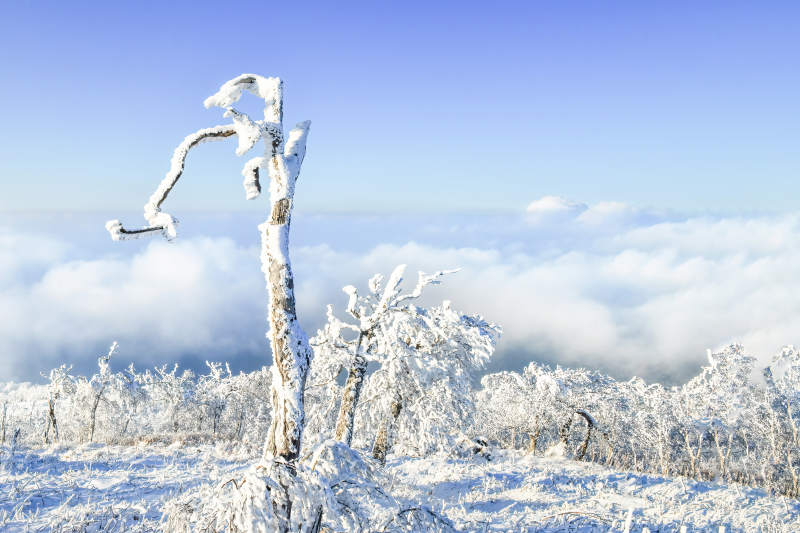 龙江第一峰图片