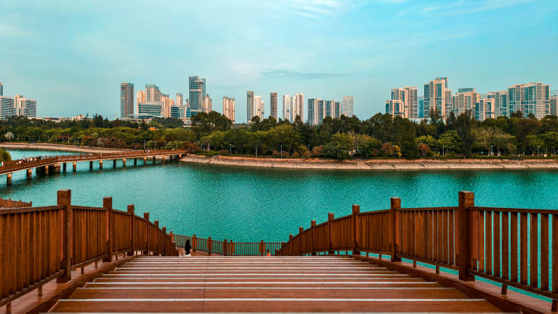 五缘湾风光图片