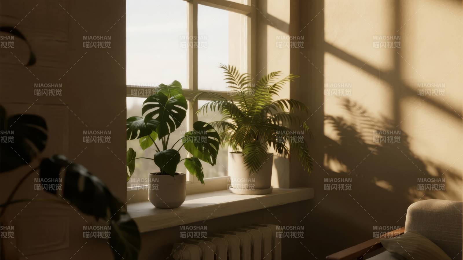 窗台绿植光影图片