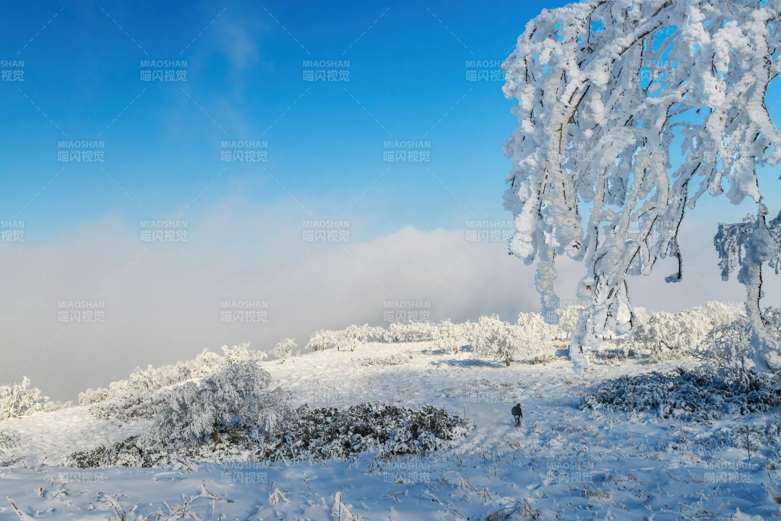 雪覆山林 晴空如洗图片