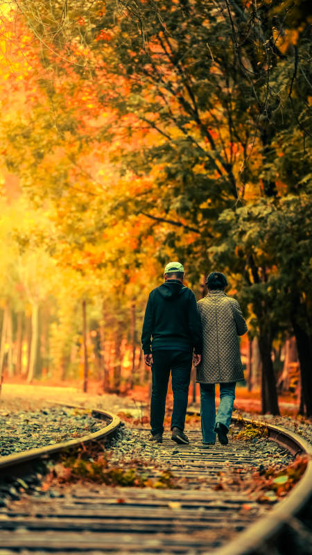 天津公园秋日铁轨行图片