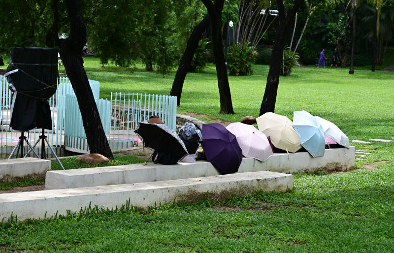 公园草地上摆放的多彩雨伞图片