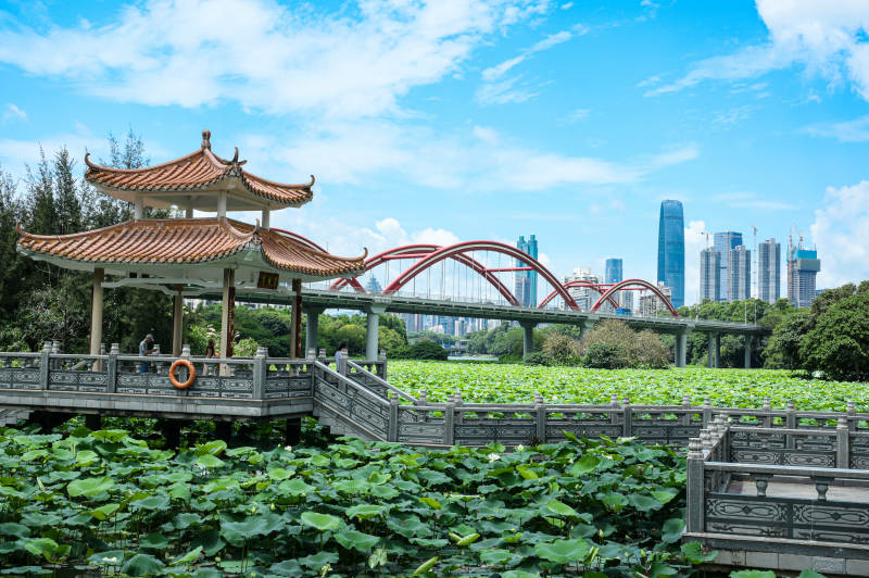 荷塘映衬下的彩虹桥与亭台图片