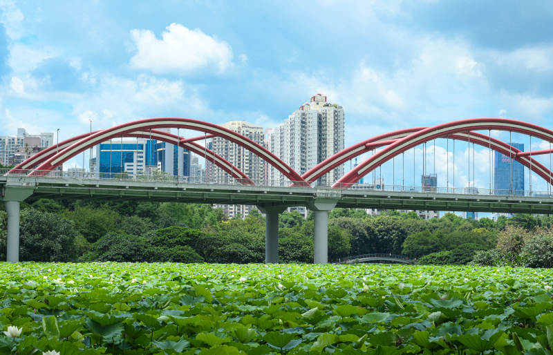 深圳城市天际线下的彩虹桥图片
