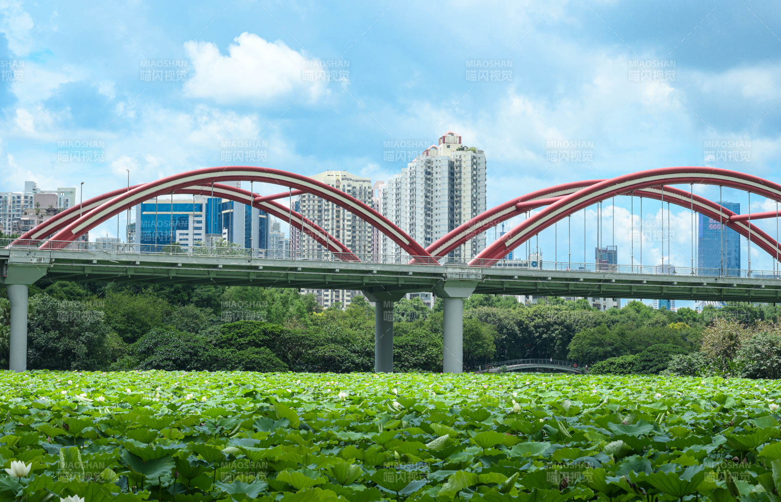 深圳城市天际线下的彩虹桥图片