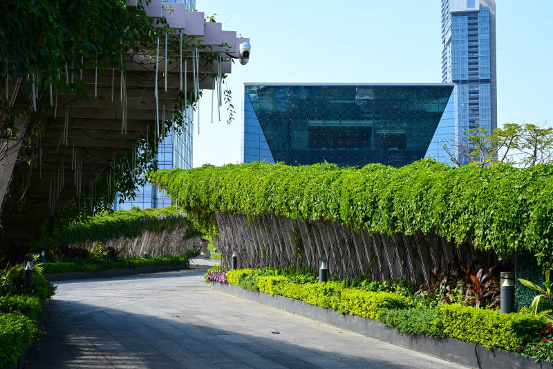 阳光下绿植覆盖的城市景观通道图片