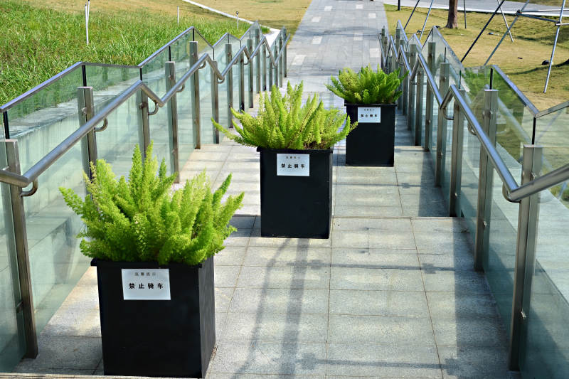 户外台阶上的绿植盆栽图片