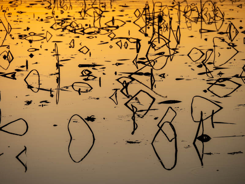 抽象涂鸦艺术图片