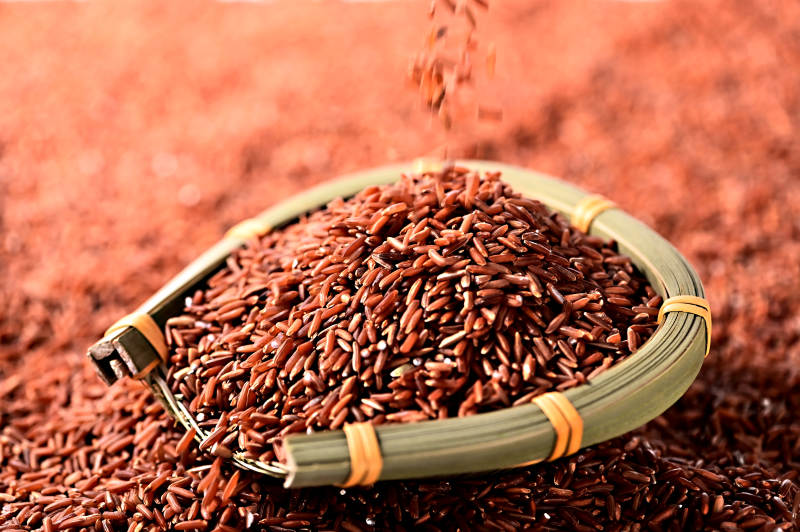 五谷杂粮有机红米特写图片