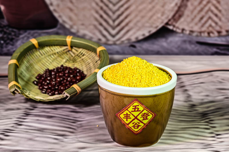 五谷杂粮金灿灿颗粒饱满的有机小米特写图片