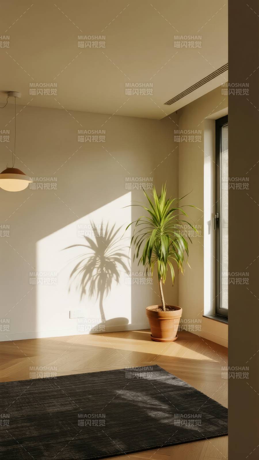 光影中的绿植角落图片