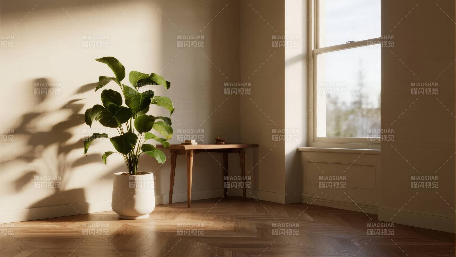 阳光下的绿植角落图片