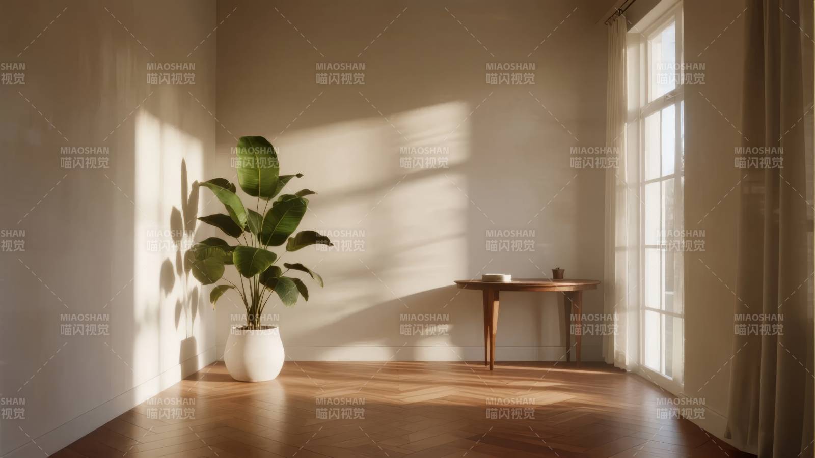 阳光下的静谧角落图片