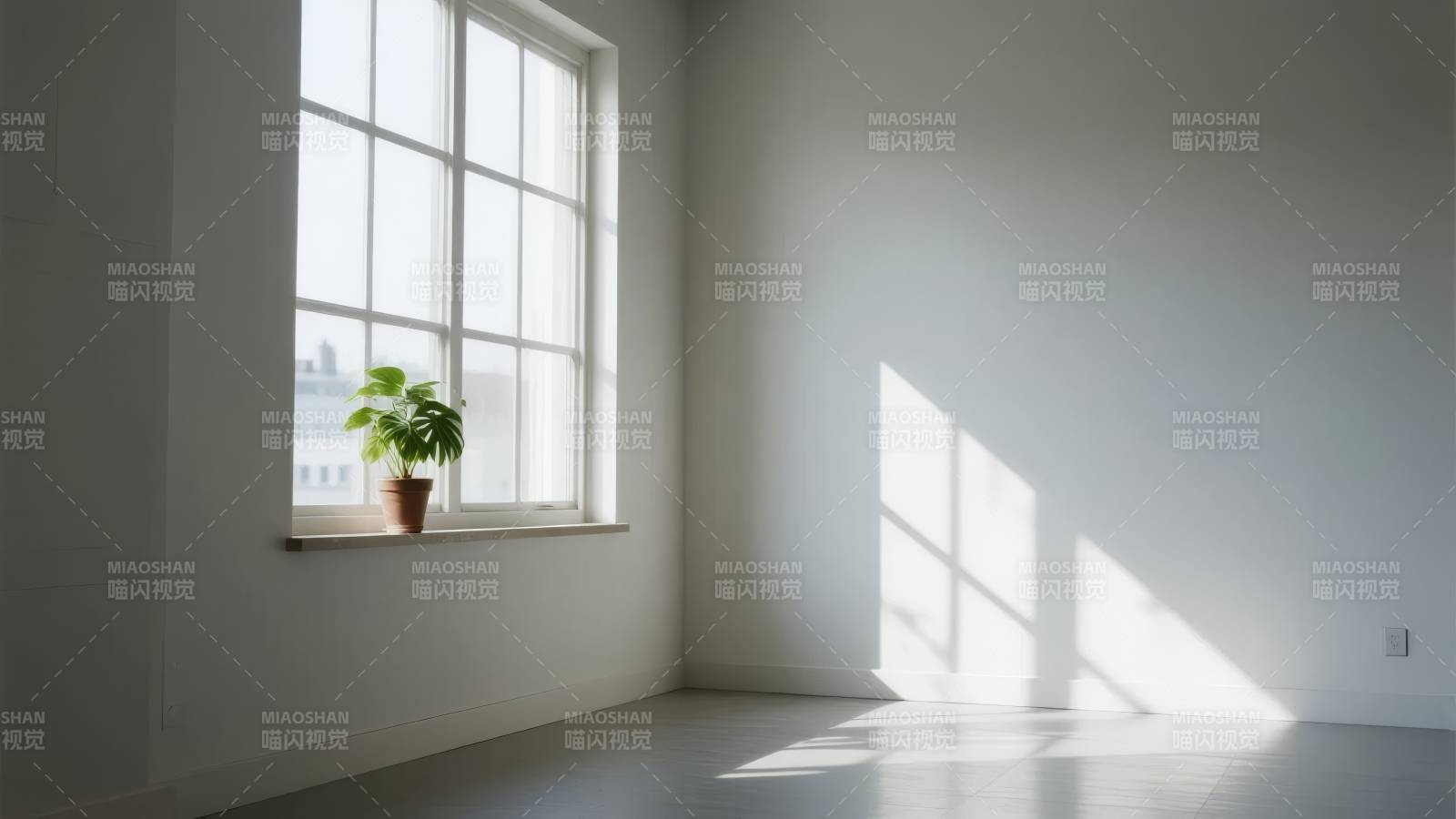 窗边绿植光影图片