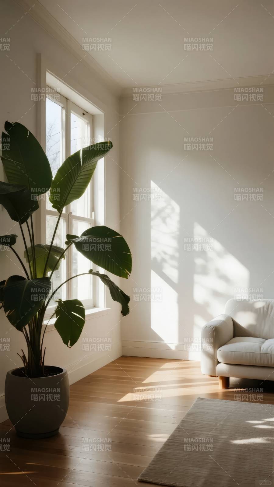 阳光下的静谧角落图片