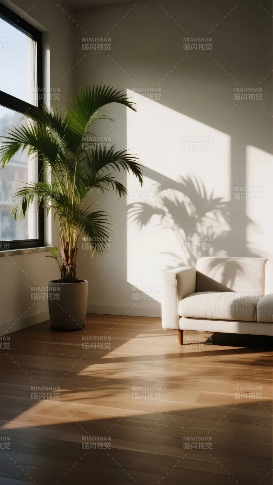 阳光下的绿植与沙发图片