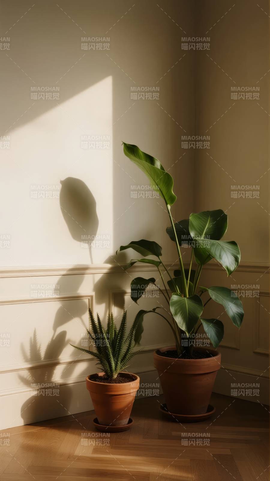 光影中的绿植角落图片