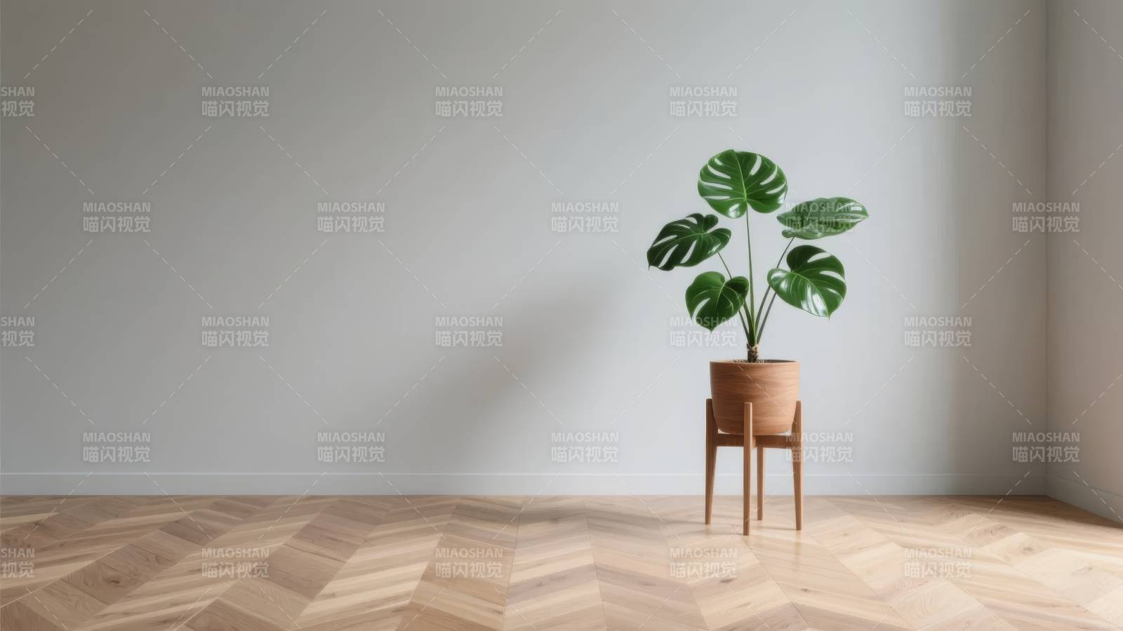 绿植静置简约角落图片