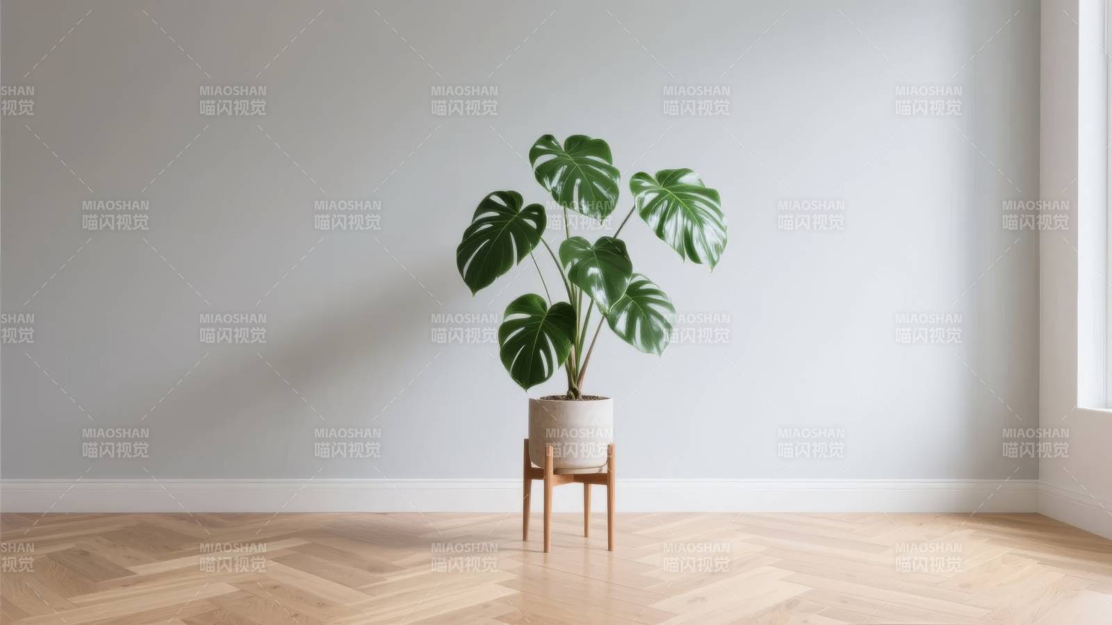 绿植点缀简约空间图片