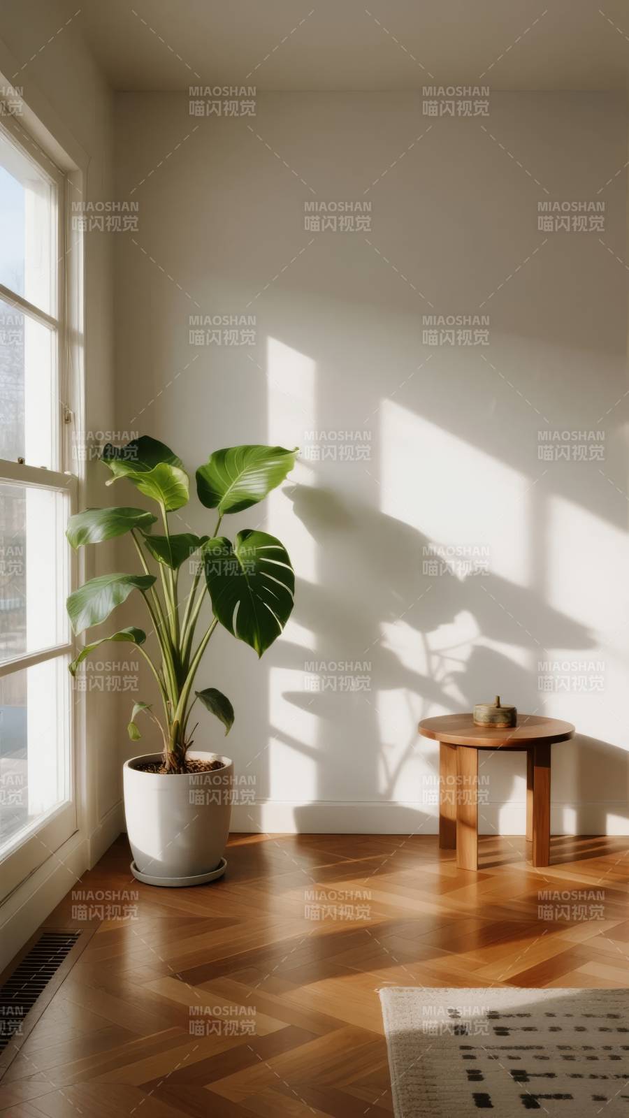 光影中的绿意角落图片