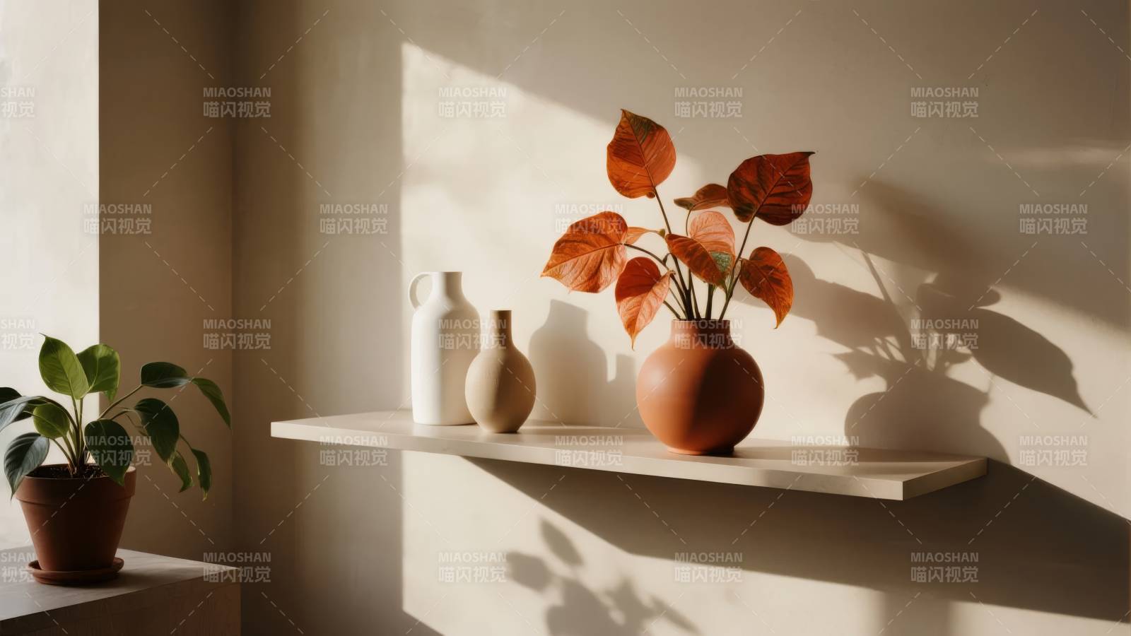 光影中的静物之美图片