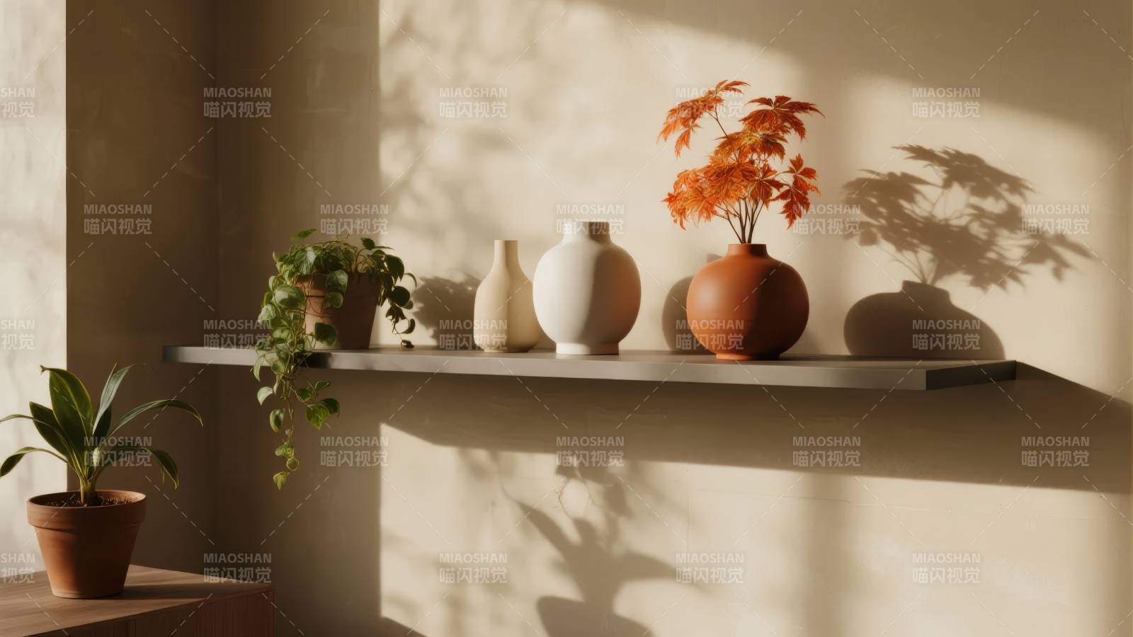 光影中的静谧绿意图片